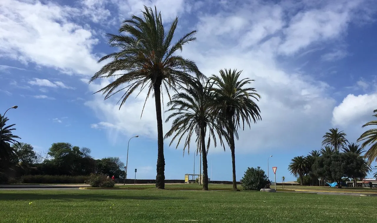 公寓 Apartamentos San Bruno Canela 卡内拉岛